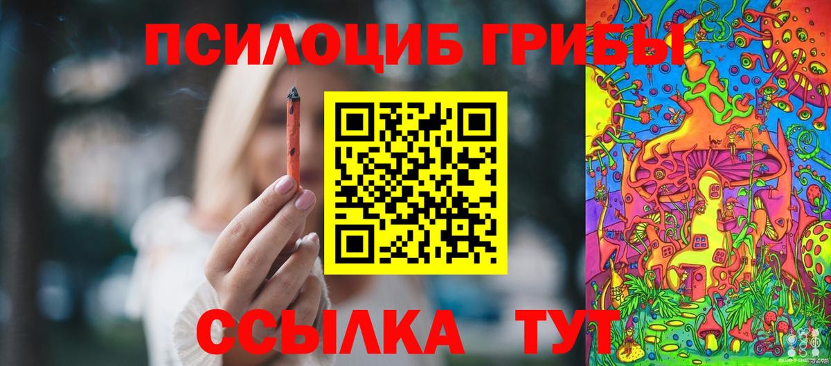 Учалы  Галлюциногенные грибы прущие грибы  Вход с VPN 
